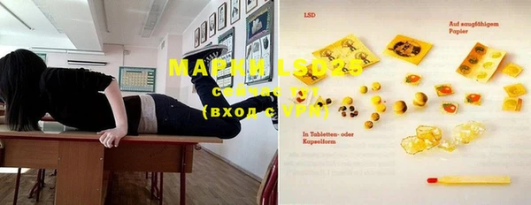 индика Наволоки