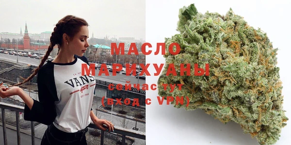 индика Наволоки