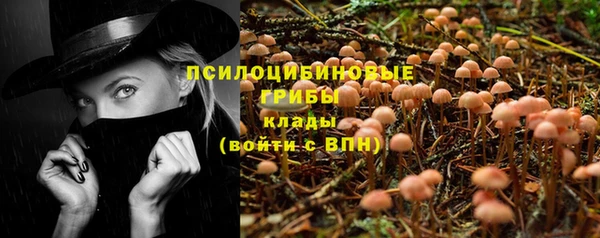 прущая мука Надым