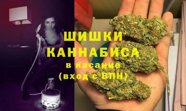 индика Наволоки