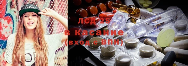 индика Наволоки
