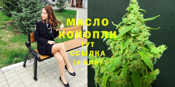 индика Наволоки