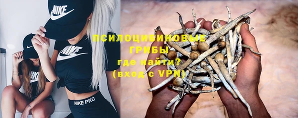 прущая мука Надым