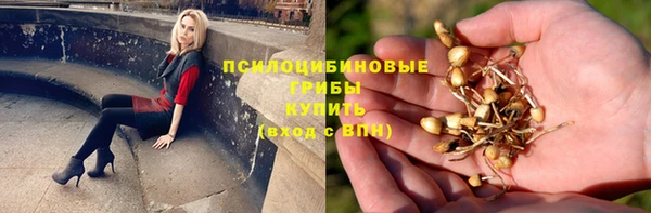 прущая мука Надым