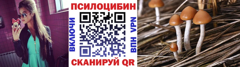 Псилоцибиновые грибы прущие грибы  Северская 