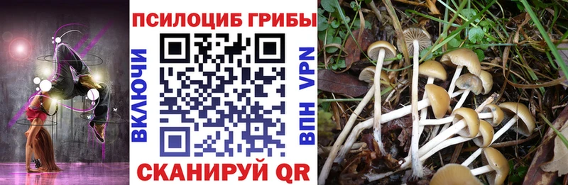 Галлюциногенные грибы мухоморы Северская